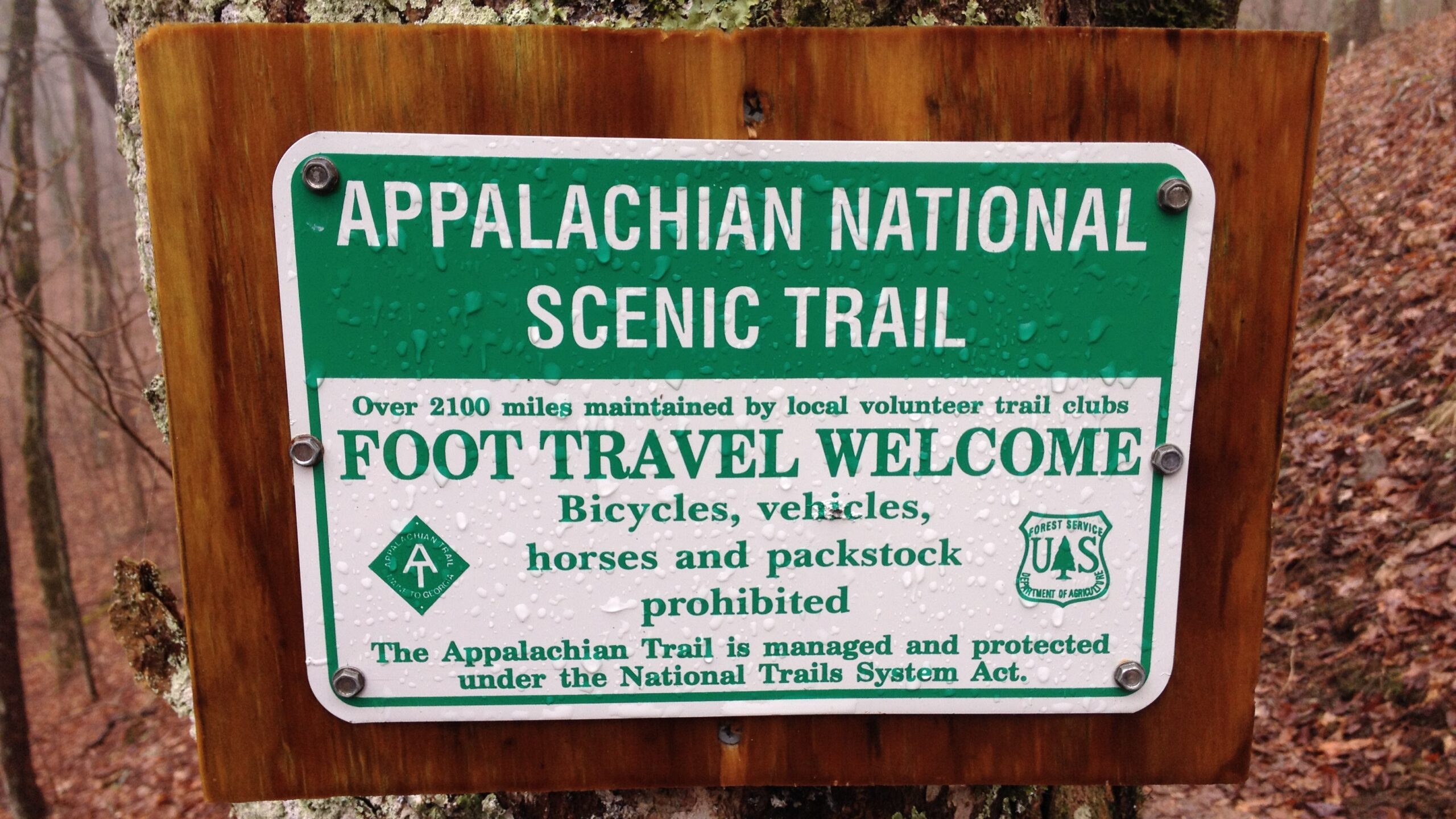 A sign marking the Appalachian National Scenic Trail. Photo by Jordan A. Bowman.