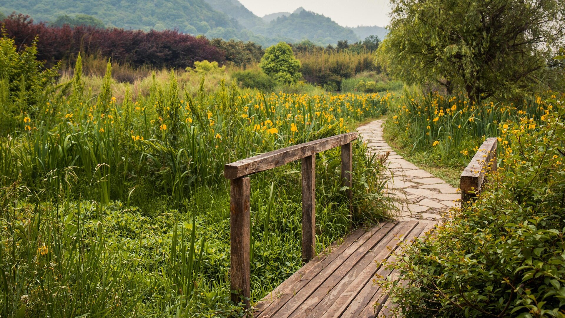 The A.T. and Climate Change: Reviewing the Basics