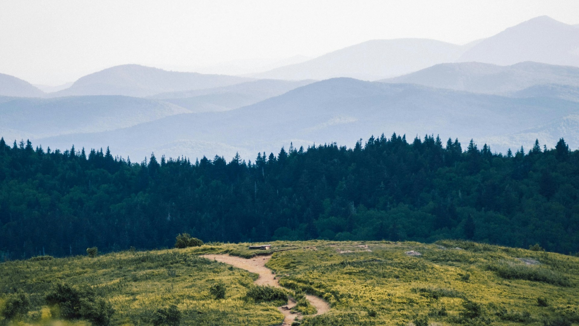 A southern Appalachian Mountain view. Photo by Alex Diaz on Unsplash.